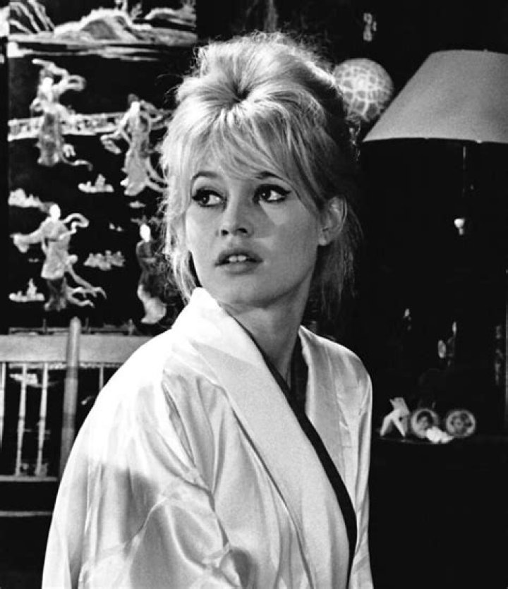 Brigitte Bardot's Journey As A Mother: A Look At Her Children