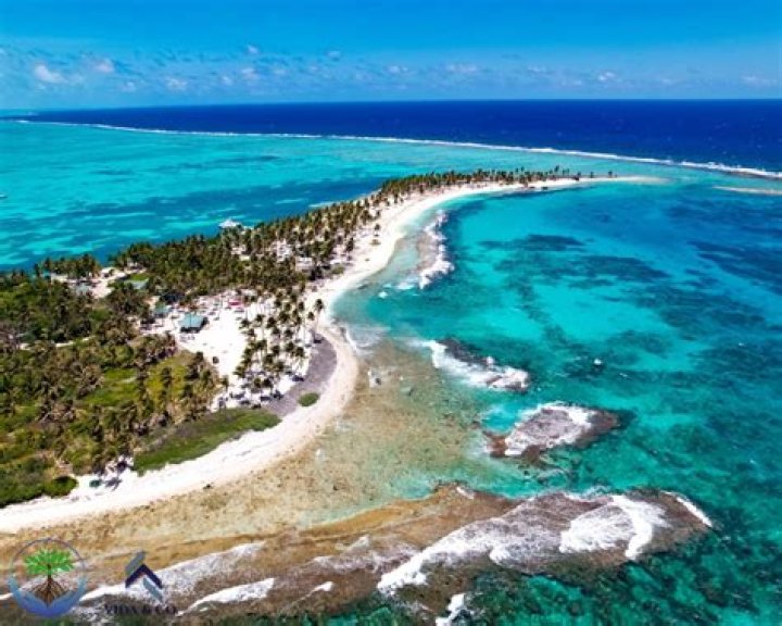 Discovering The Allure Of Camilla Araujo Eaked