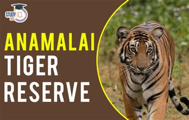 Exploring The Enigmatic World Of Annamalai's Wife Job