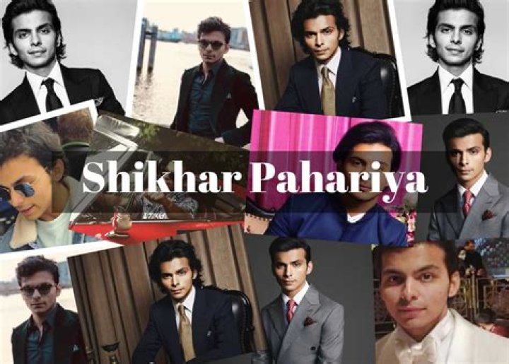 Understanding Shikhar Pahariya's Business Ventures