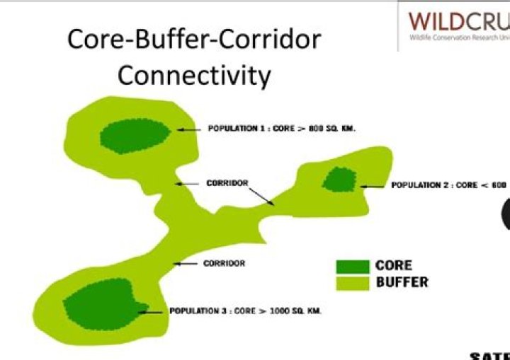 Understanding The Concept Of A Buffer Room: A Comprehensive Guide