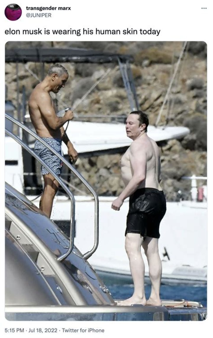 Unveiling The Mystique Of Elon Musk Shirtless: A Peek Into The Man Behind The Vision